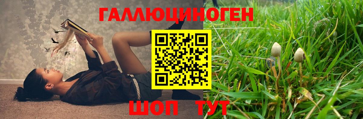 Псилоцибиновые грибы Psilocybe  Вход с VPN  Гусь-Хрустальный  закладка  Псилоцибиновые грибы GOLDEN TEACHER 